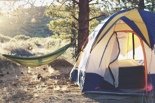 Quelles sont les techniques pour bâtir un abri temporaire en camping avec des matériaux naturels?